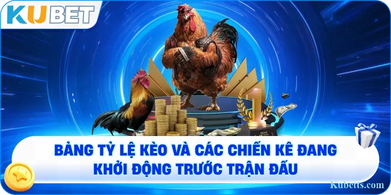 Đá Gà Online KUBET: Sân Chơi Kê Chiến Hấp Dẫn, Uy Tín Hàng Đầu Việt Nam 2 Bảng tỷ lệ kèo và các chiến kê đang khởi động trước trận đấu