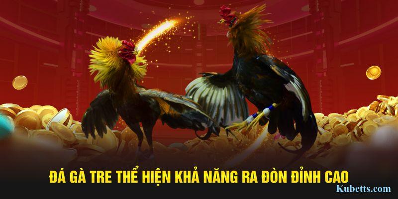 Đá Gà Campuchia: Giải Đấu Kịch Tính, Chiến Kê Đỉnh Cao Tại Kubet 2 Đá gà tre thể hiện khả năng ra đòn đỉnh cao