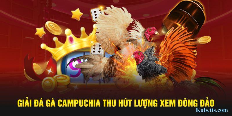 Đá Gà Campuchia: Giải Đấu Kịch Tính, Chiến Kê Đỉnh Cao Tại Kubet 1 Giải đá gà Campuchia thu hút lượng xem đông đảo